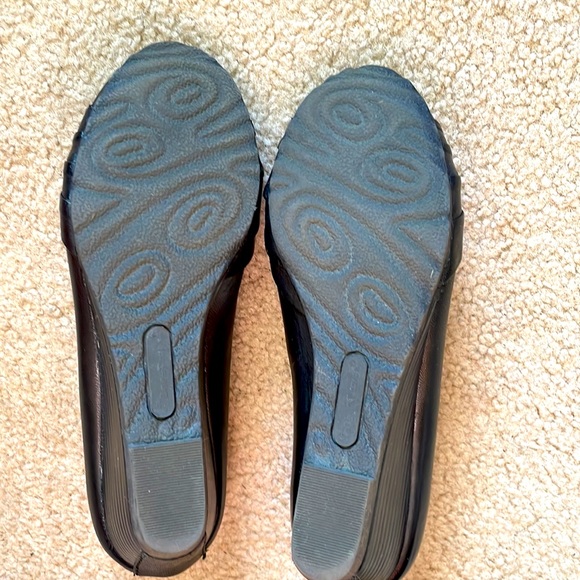 Black Bear Traps Wedge’s - Picture 5 of 8